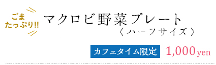 マクロビ野菜プレートハーフサイズ