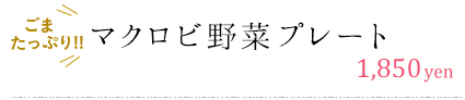 マクロビ野菜プレート